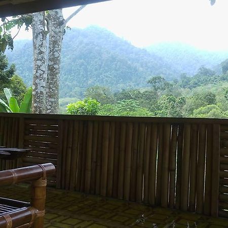 Hôtel Batu Kapal Jungle Houses à Berastagi Extérieur photo